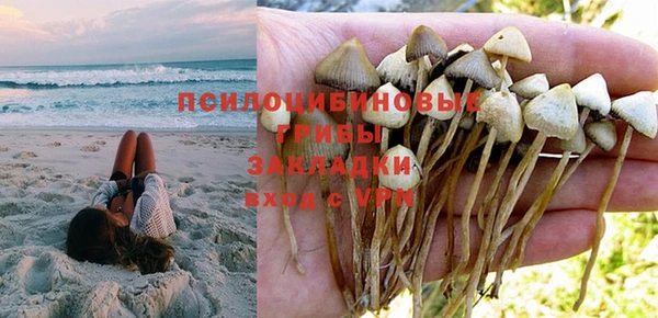 крисы Строитель