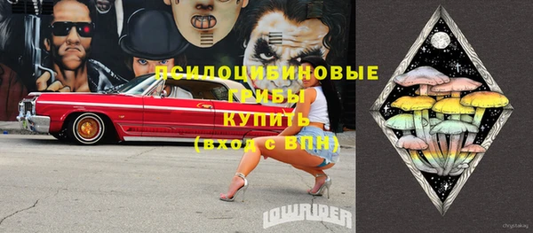 крисы Строитель