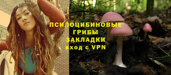 крисы Сясьстрой